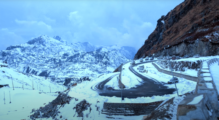 Best Time to Visit Sikkim for Wildlife: A Complete 2025 Guide