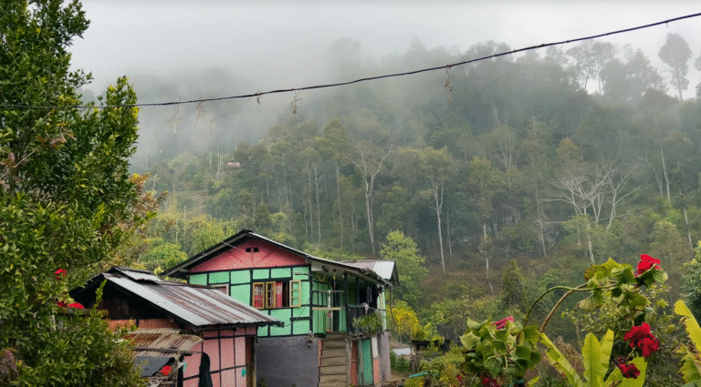 Sikkim National Parks Travel Guide: Exploring the Himalayan Wilderness