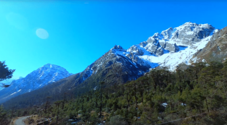 Sikkim’s Wildlife and Nature Conservation Efforts: A Traveler’s Guide (2025)
