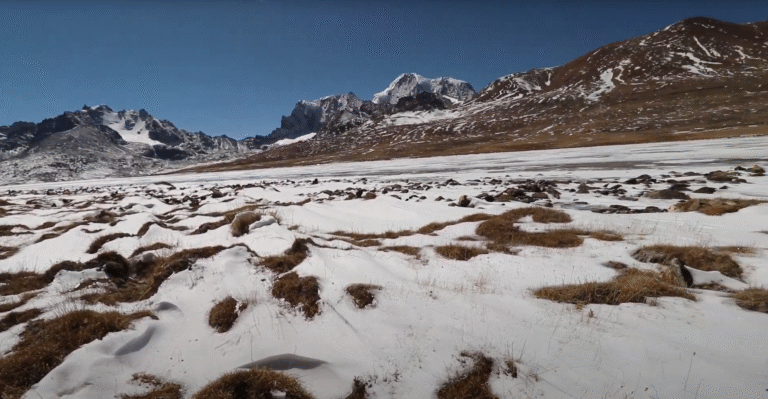 Tso Lhamo Lake, Sikkim – World’s Highest Lake You’ve Never Seen