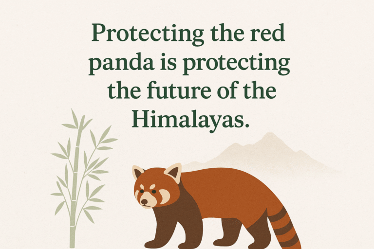 100 Inspiring Quotes on Red Panda in Sikkim: Wildlife, Conservation & Travel